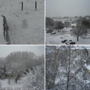 Avignon Under snow
