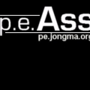 PE Ass Logo