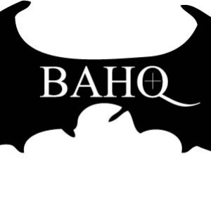 Bahq Logo
