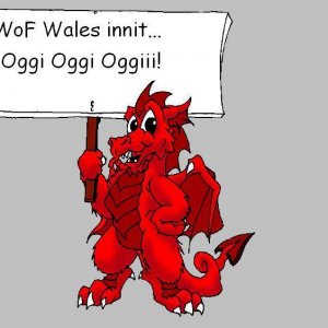 Welshdragonongrey
