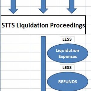 Stts Liquidation Pic