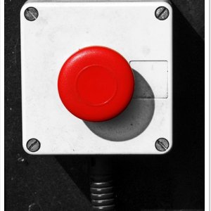 Bid Red Button