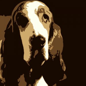 Basset-hound-painting-by-cassy-combs-400