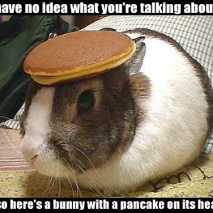 Pancake Bunny