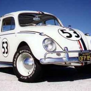 Herbie