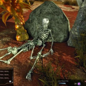 Someone Died Happy On Rocktropia