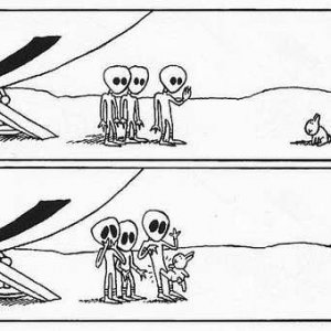 Bunny Suicides