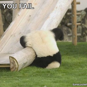 panda-fail 1