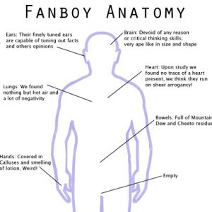 fanboy-anatomy