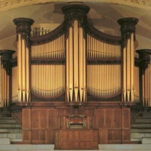 Organ