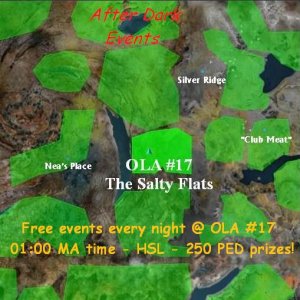 OLA 17 event after dark