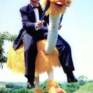 Bernie &amp; The Ostrich