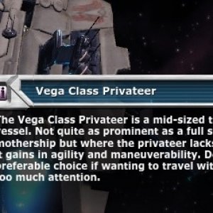 privateerdescription