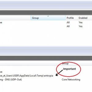 Windows Firewall settings for Entropia updates