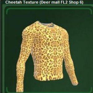 Cheetah Texture