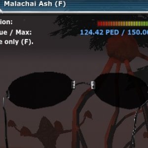 Malachai Ash shades