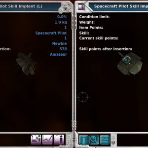 Skill Implant item info pic for sales thread
