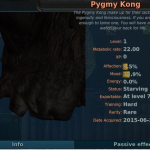 Pygmy Kong