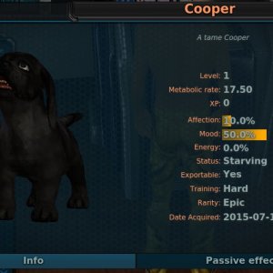 cooper-info