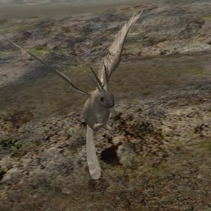 WolperTinger