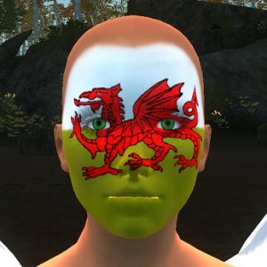 Welsh Flag Mask
