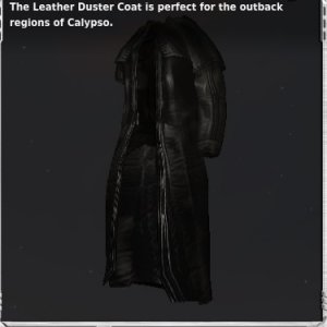 LeatherDusterCoat
