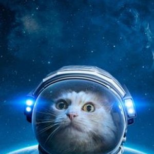 Compet Suggestion Images - Space Cat