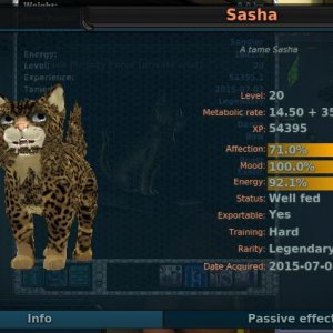 Sasha LVL 20