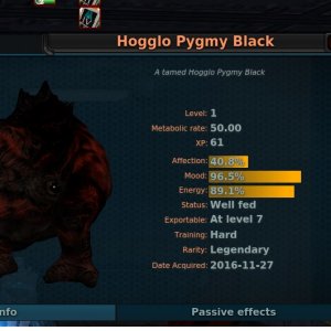 Hogglo Pygmy Black