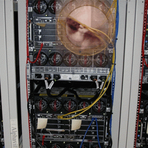 server hamster