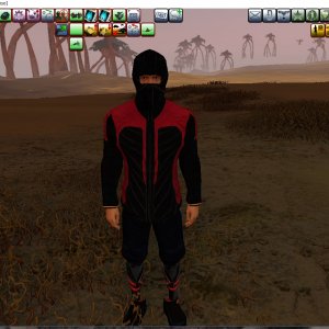 ninja hood