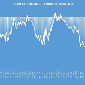 bankroll monitoring