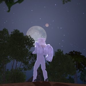 Polar Bear Angel Moon Gaze