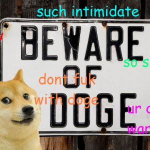beware of doge