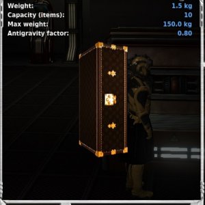 Casual Luggage Item Info