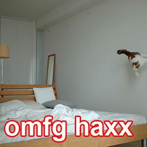 HaxX0rz cat