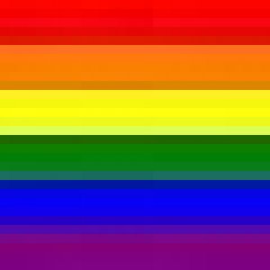 The rainbow flag who i am and what i stand for in real life. Loving, caring, supportive, friend to everyone.