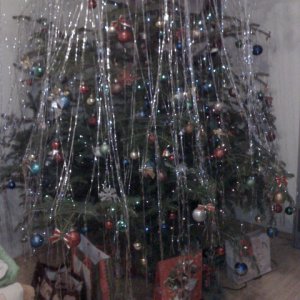 2nd Christmas Tree