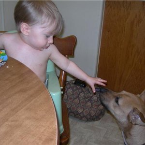 jarred feeding his dog
