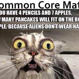 Common Core Math Problem