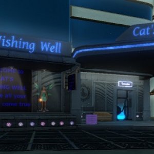 Cat'sWishingWell01