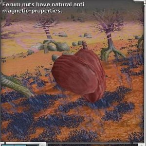 Ferrum Nuts Description