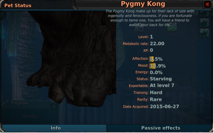 Pygmy Kong