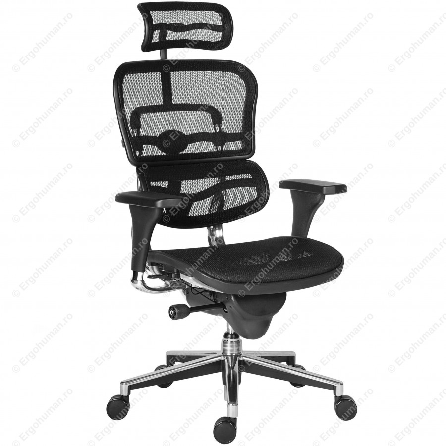 scaune-ergonomice-ergohuman.jpg