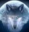 moondog's Avatar