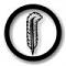 ~ Cirrus ~'s Avatar