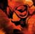 Vaelin's Avatar