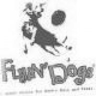 FlyinDog