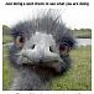 Tor