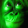 Greenmonkey